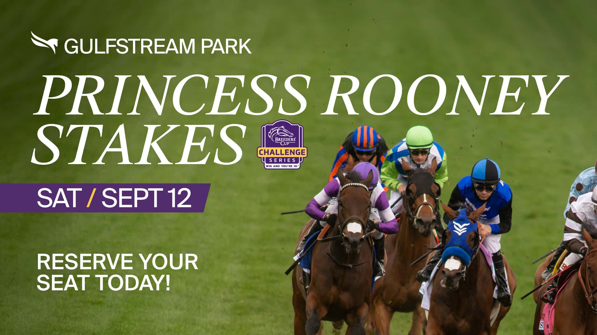 1920x1080 Princess Rooney Stakes SAT Sep-12 background asset