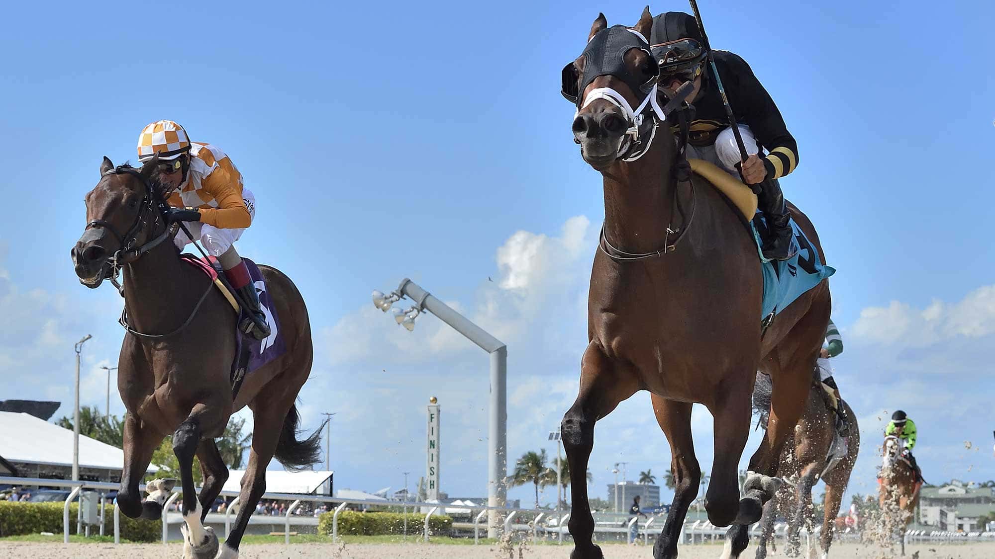 Twirling-Queen-the-Melody-of-Colors