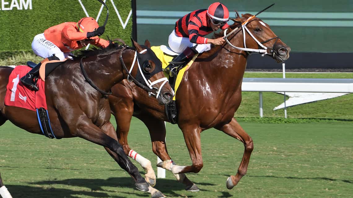 Rezasrolex Looks to Start New Win Streak in $125,000 Silks Run