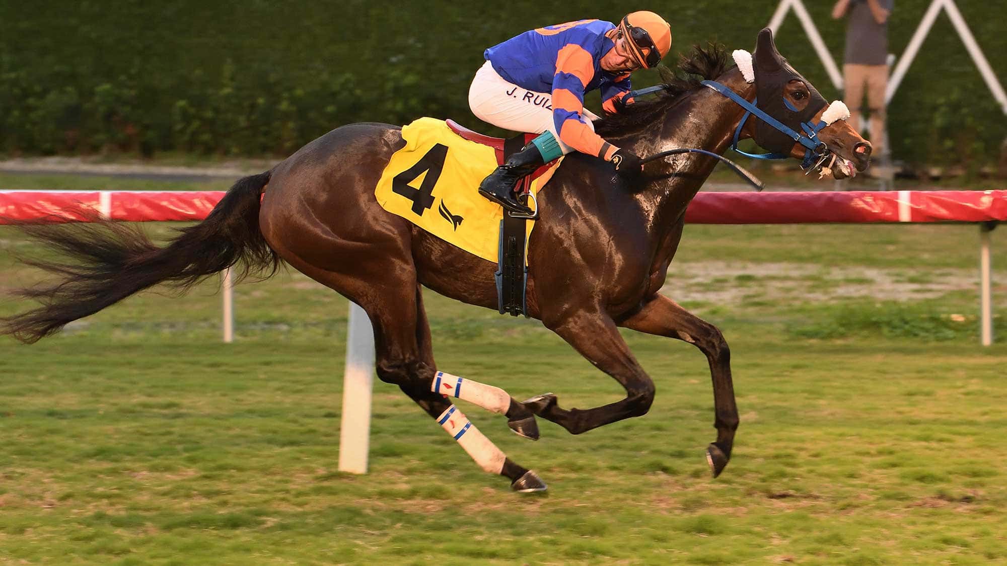 Tocayo-the-Dania-Beach