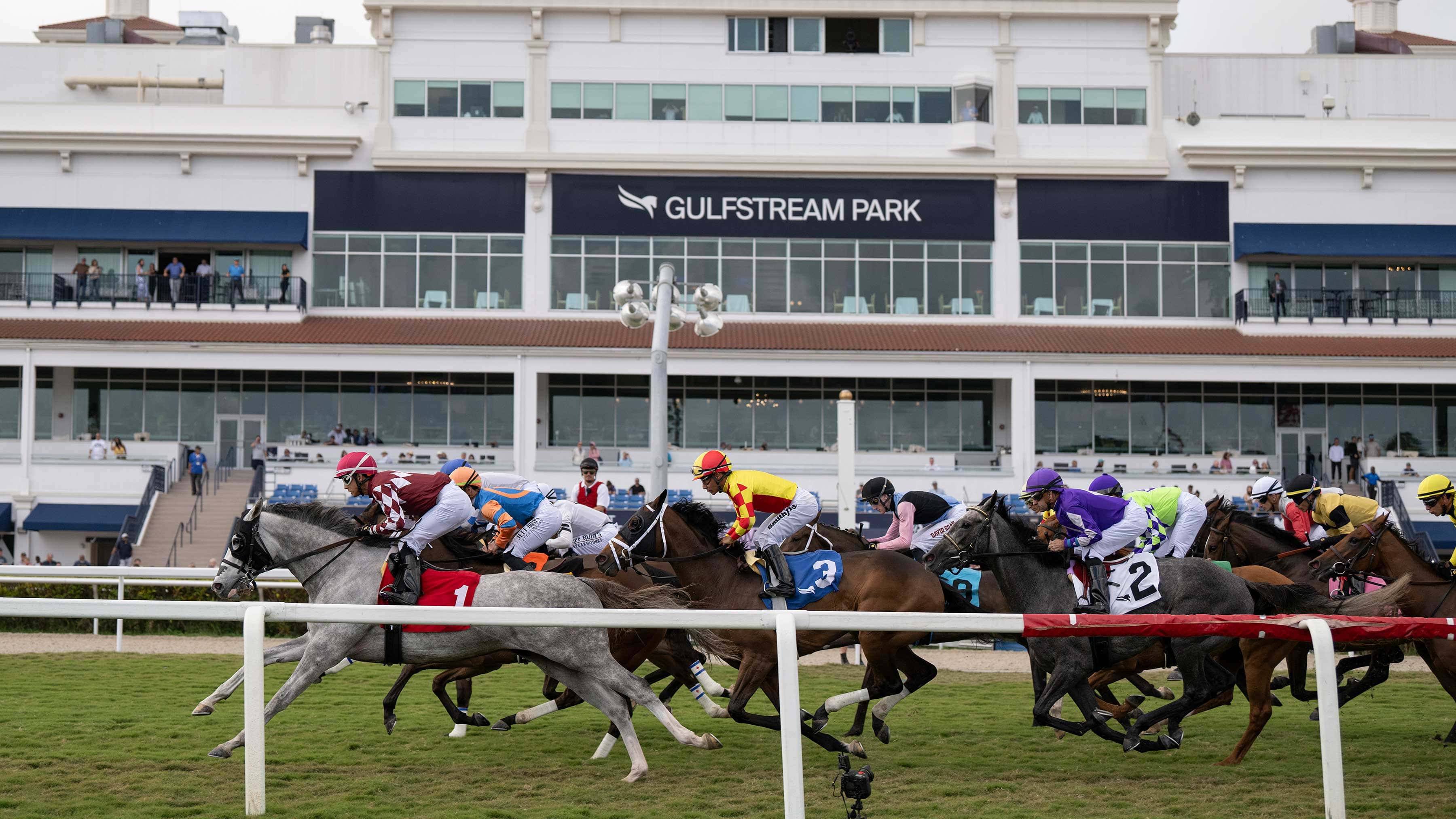 GP-Grandstand-turf-2