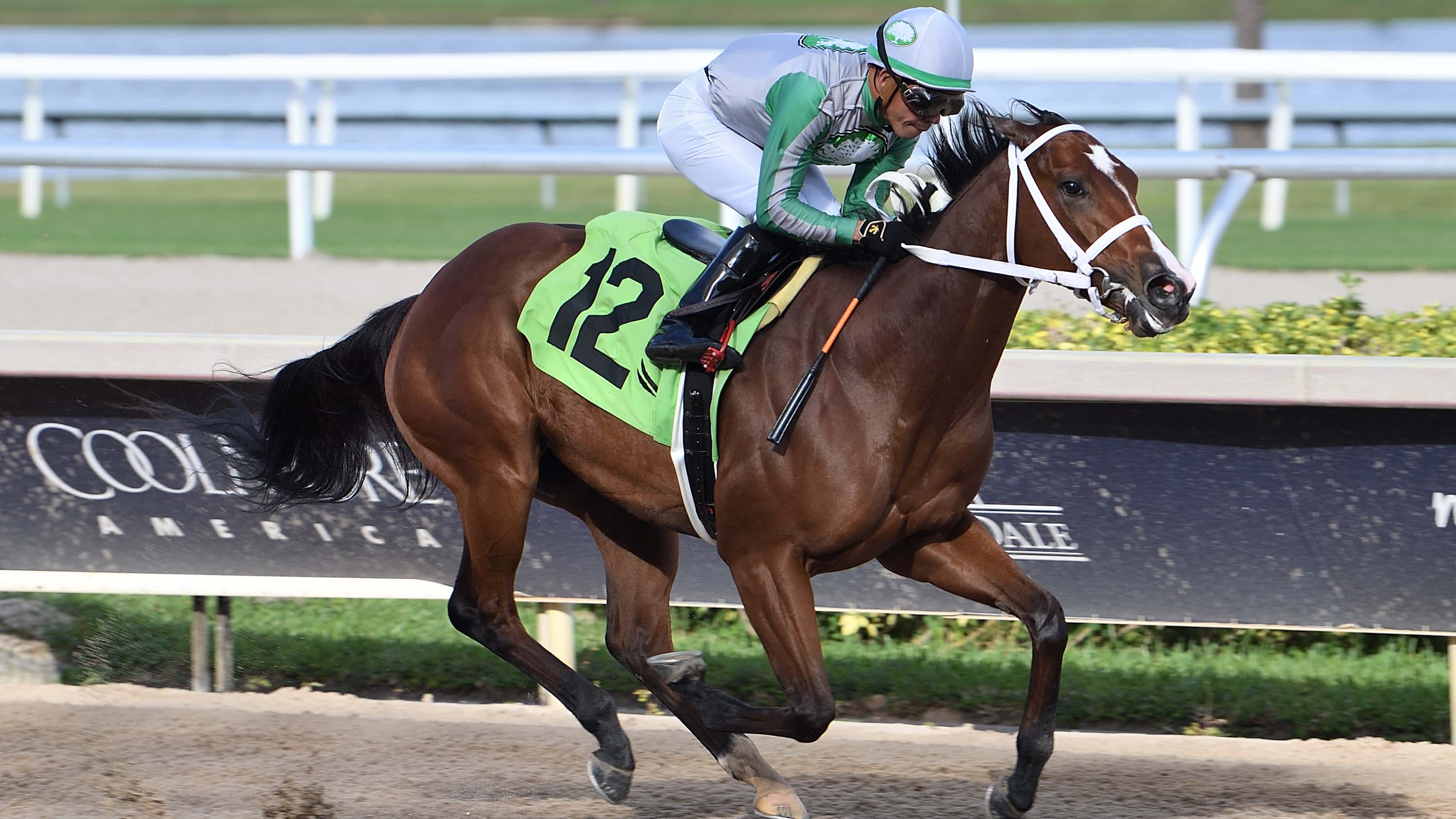 Mythical-the-FSS-Susans-Girl