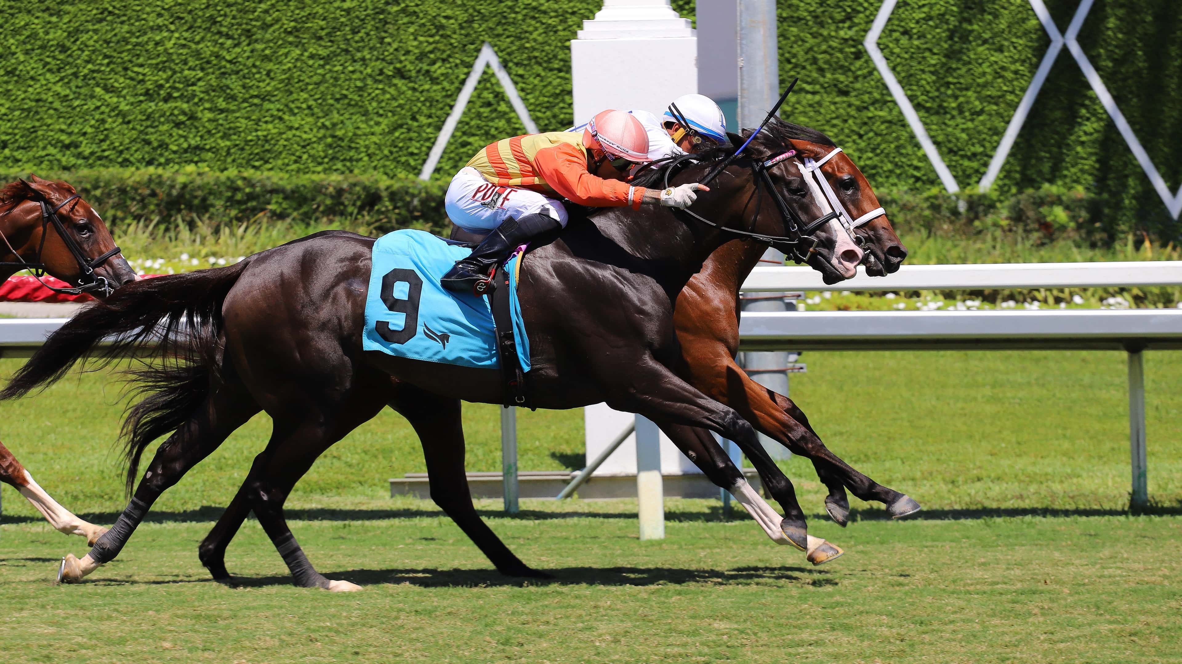 Chance to Party vence a Calypso Moon en la mejor rentada del viernes