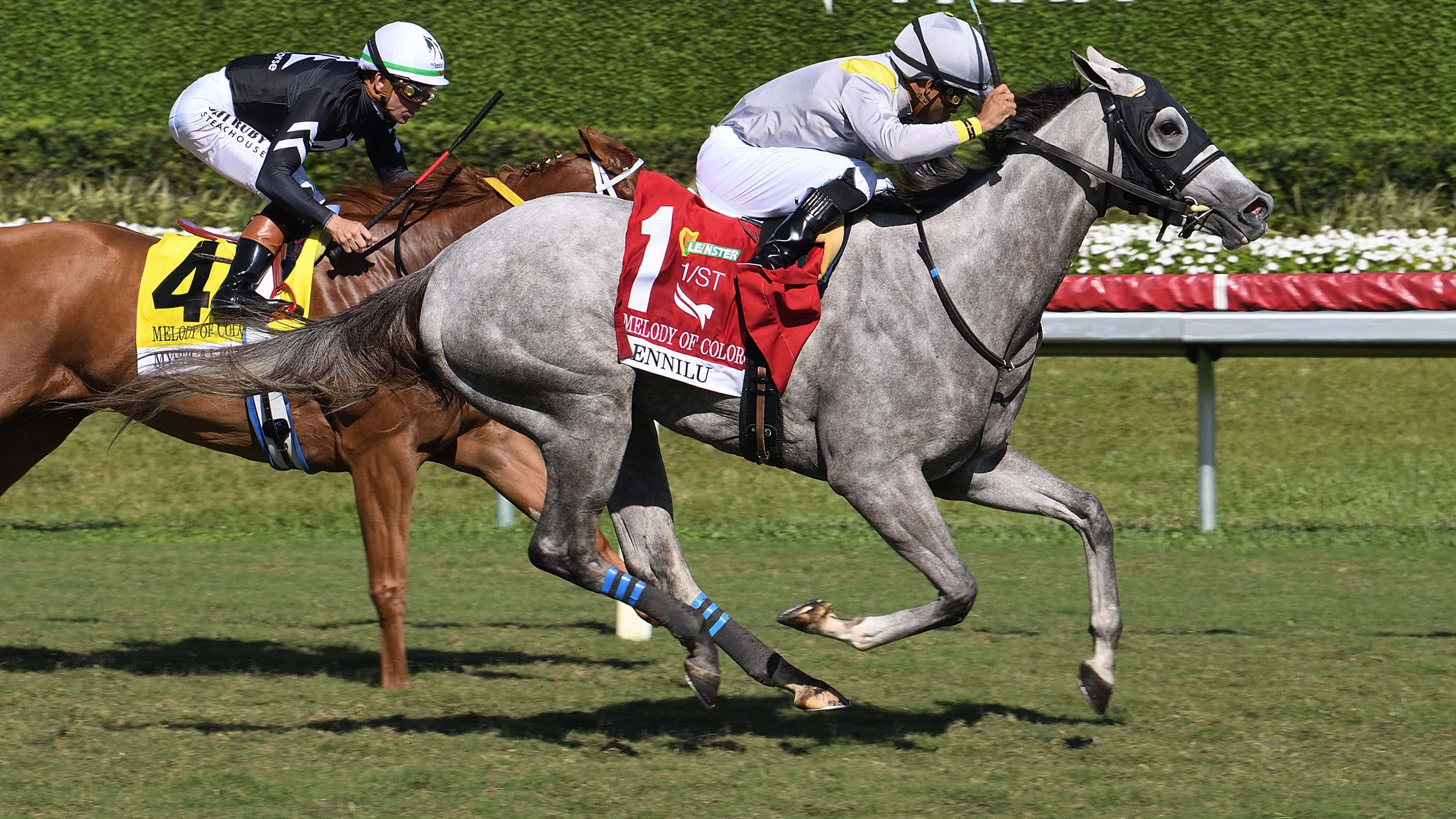 Lennilu-the-Melody-of-Colors