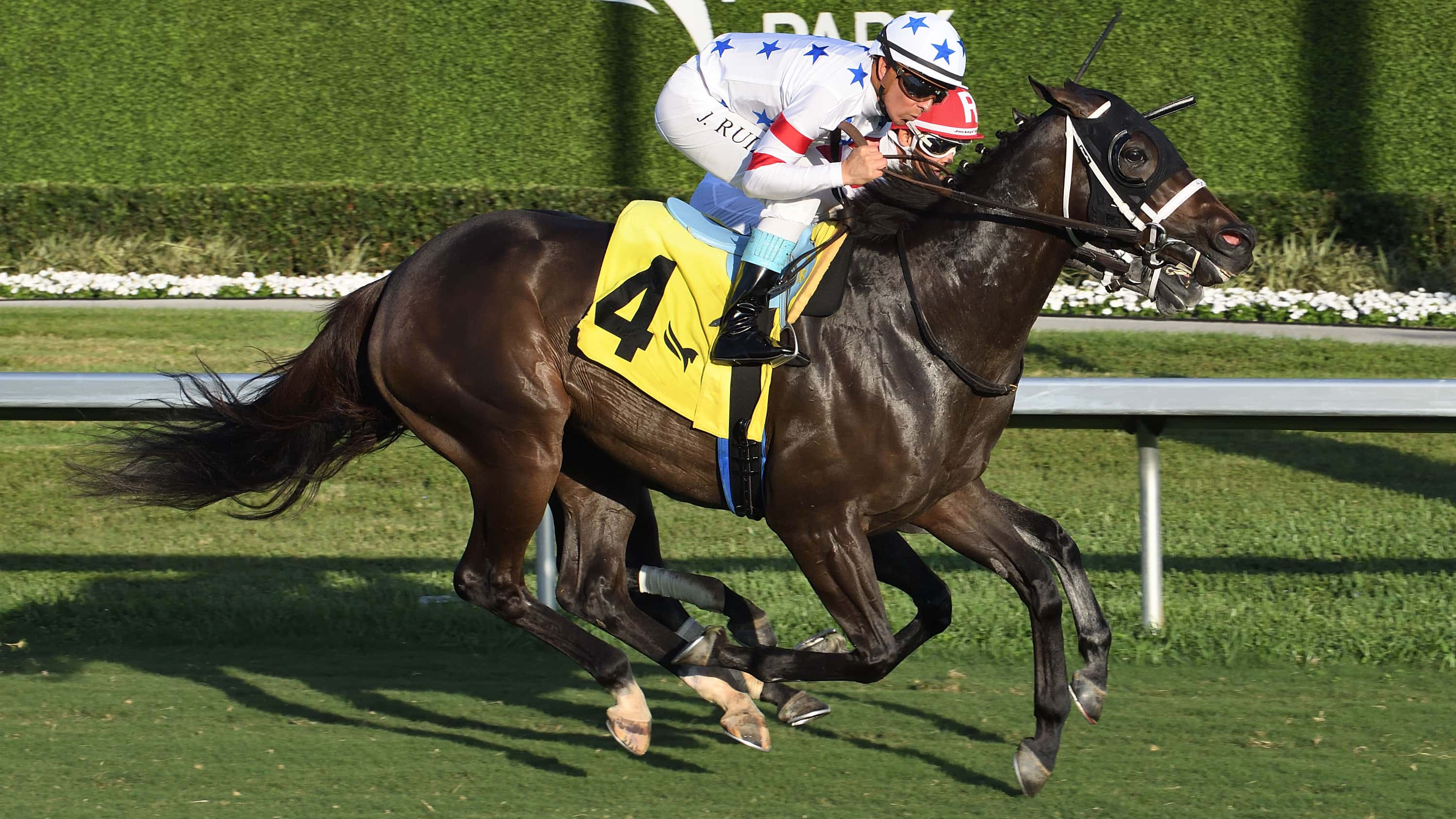 Crevalle-dOro-the-Suwannee-River