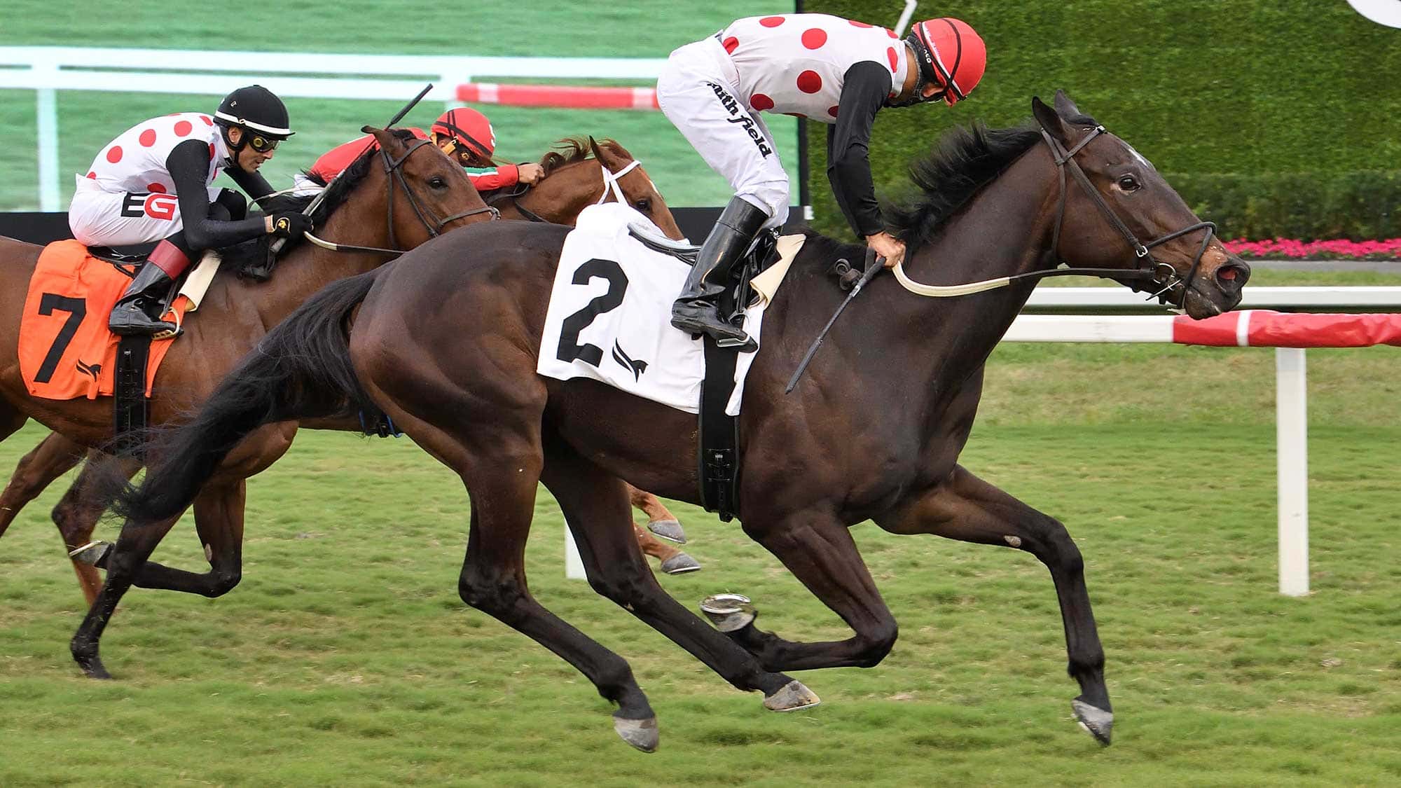 Forever-Souper-the-Sunshine-Turf