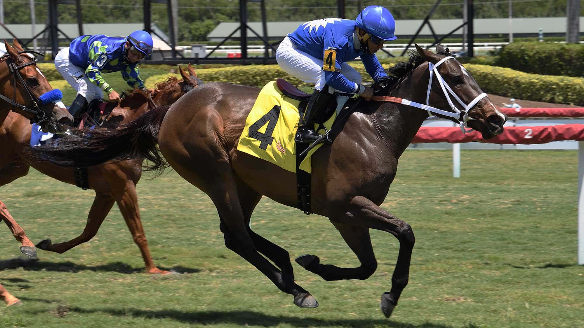 Choose-Joy-the-Golden-Beach-