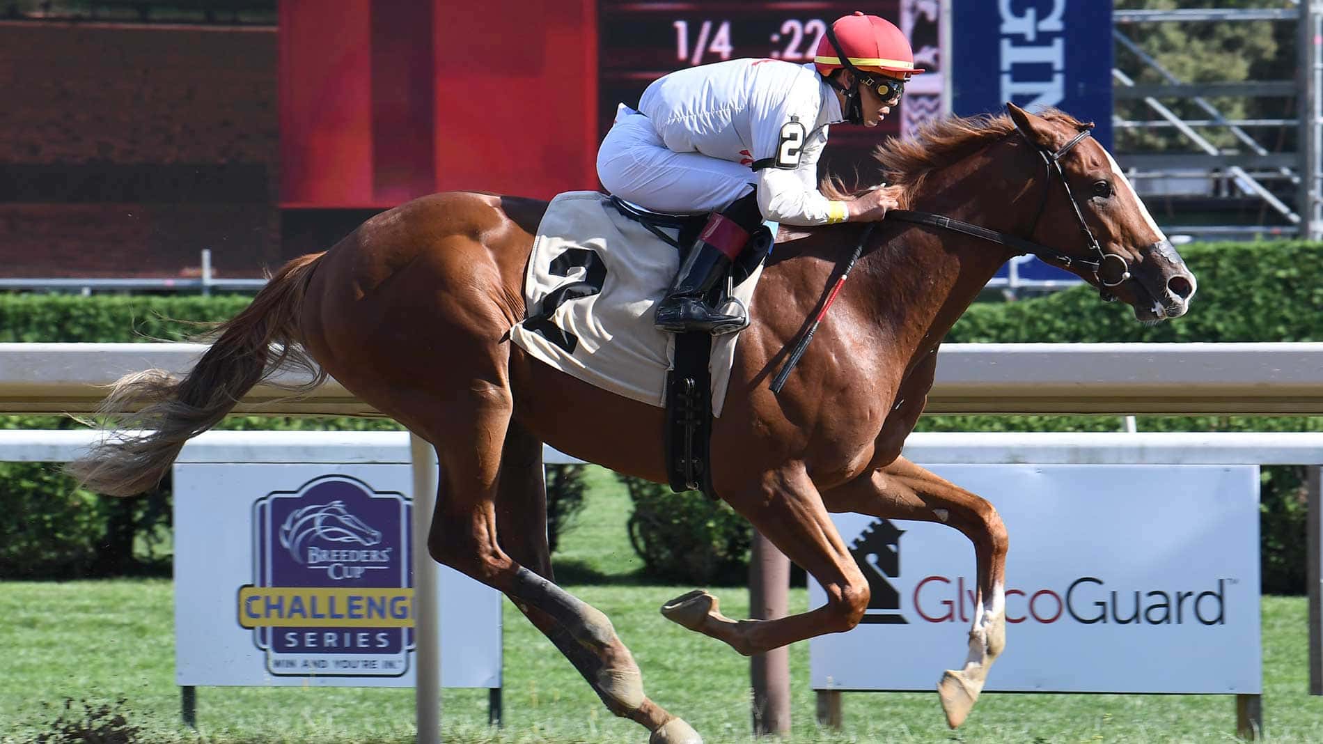 G1 Curlin Florida Derby Next for Classic Causeway