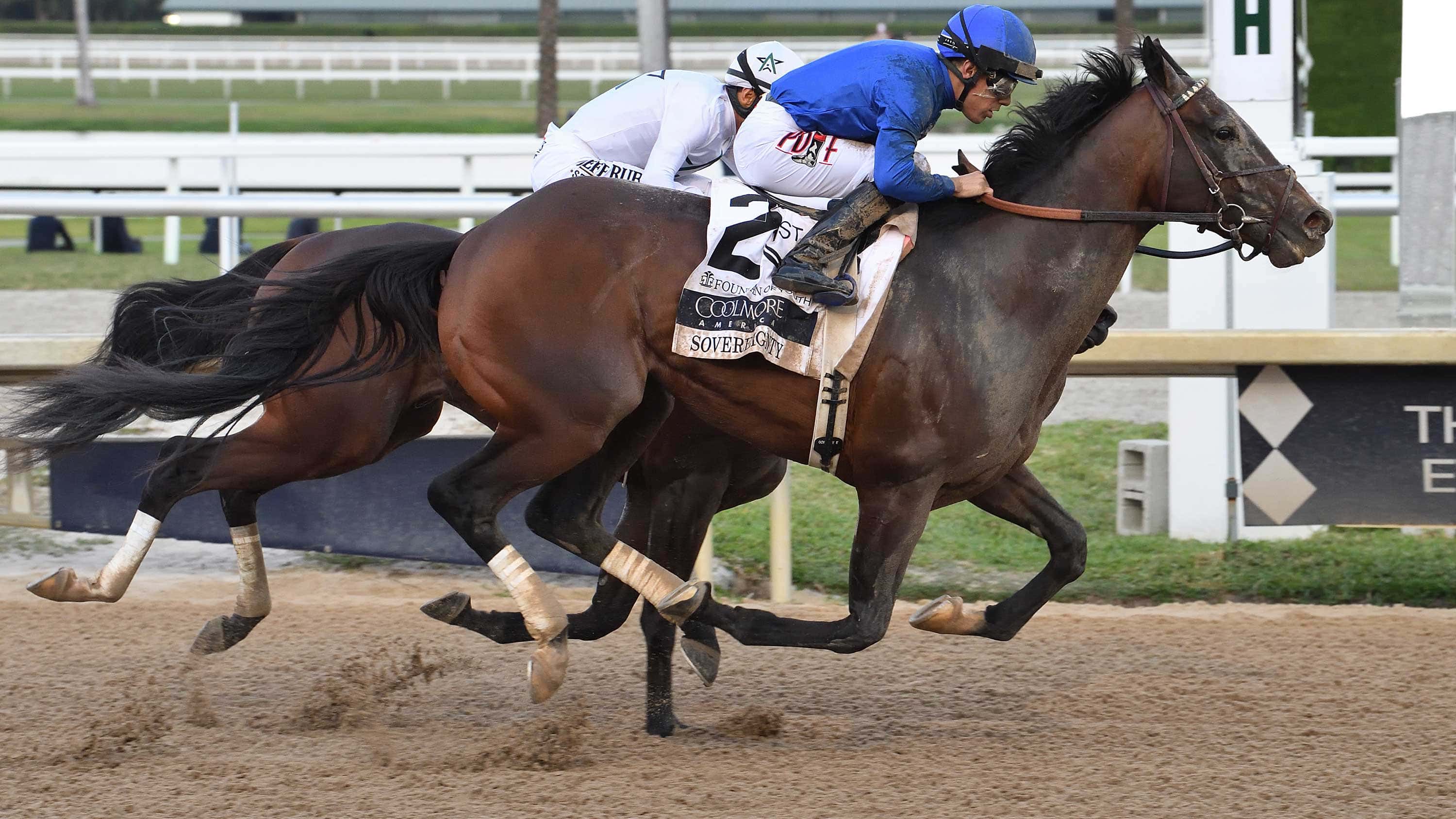 Sovereignty-the-FOY-3