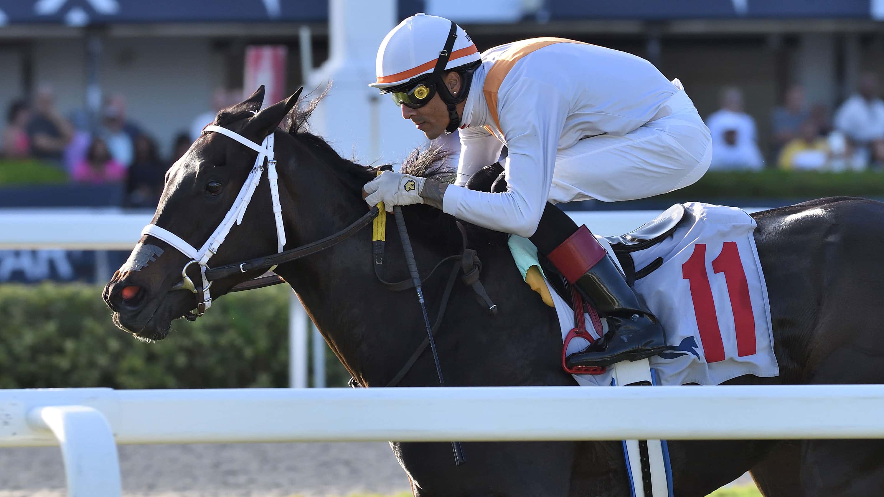 In-Our-Time-the-Cellars-Shiraz