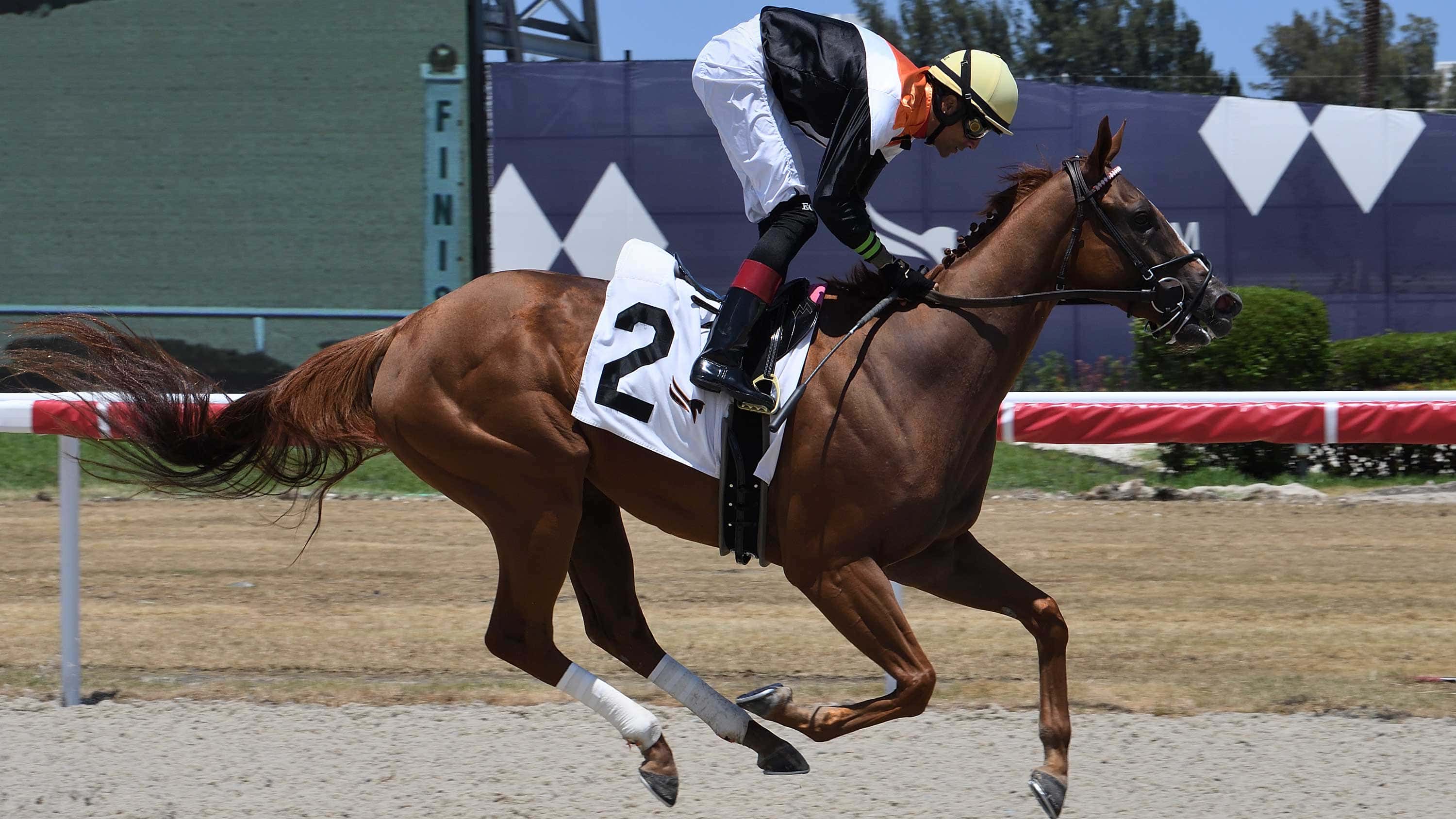 Ocean-Club-the-Martha-Washington