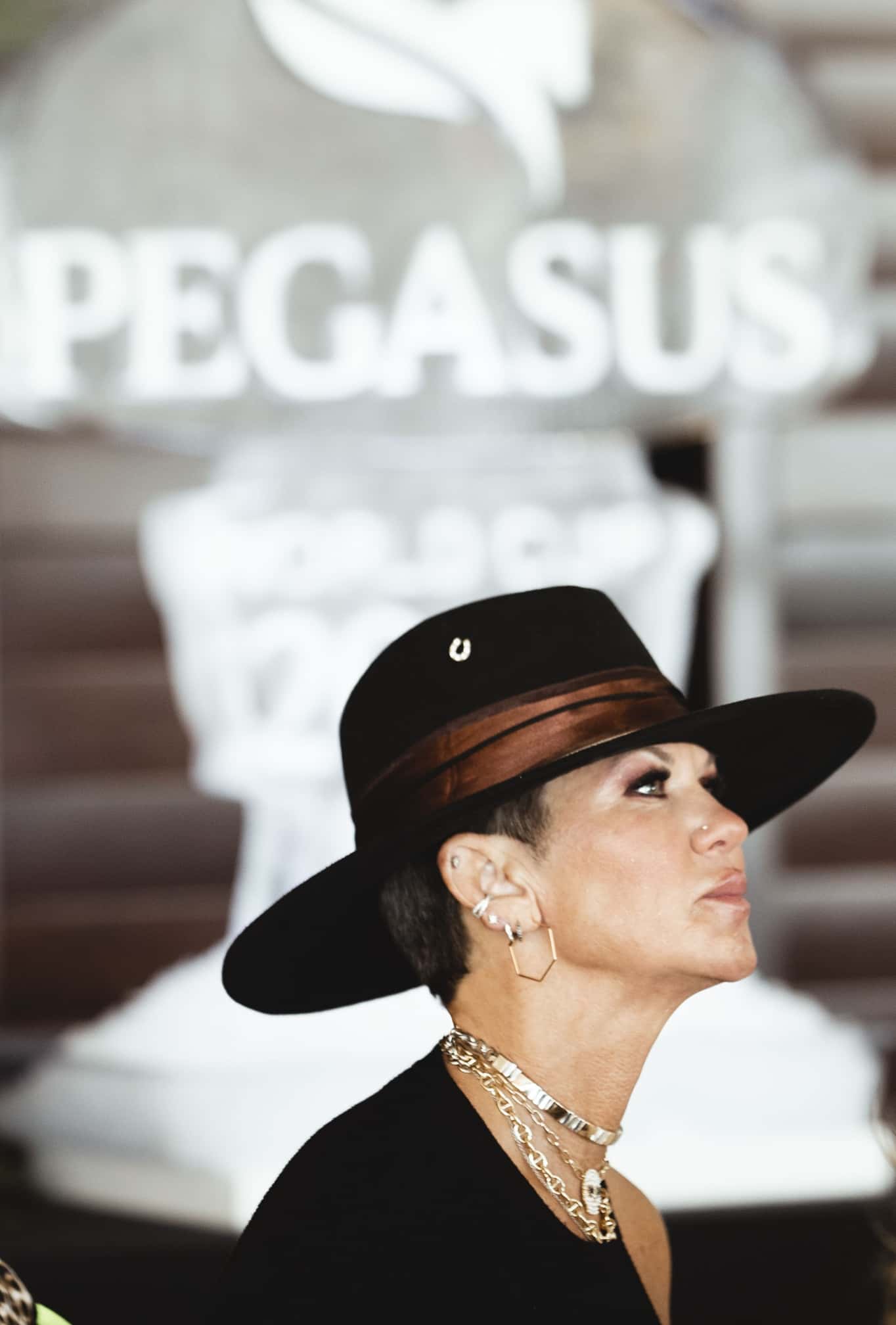 PegasusChorale212-2@2x