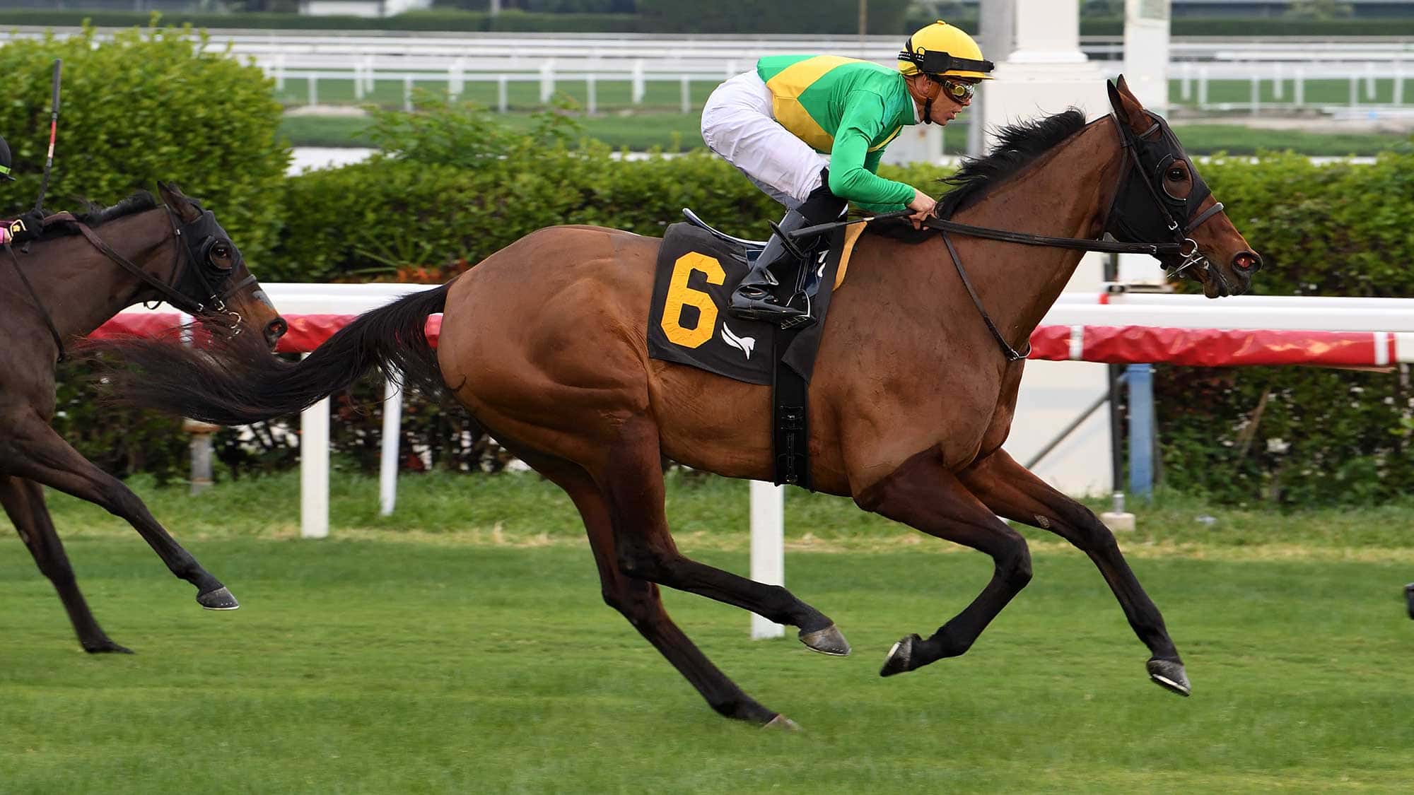 Miss-J-McKay-the-Abundantia