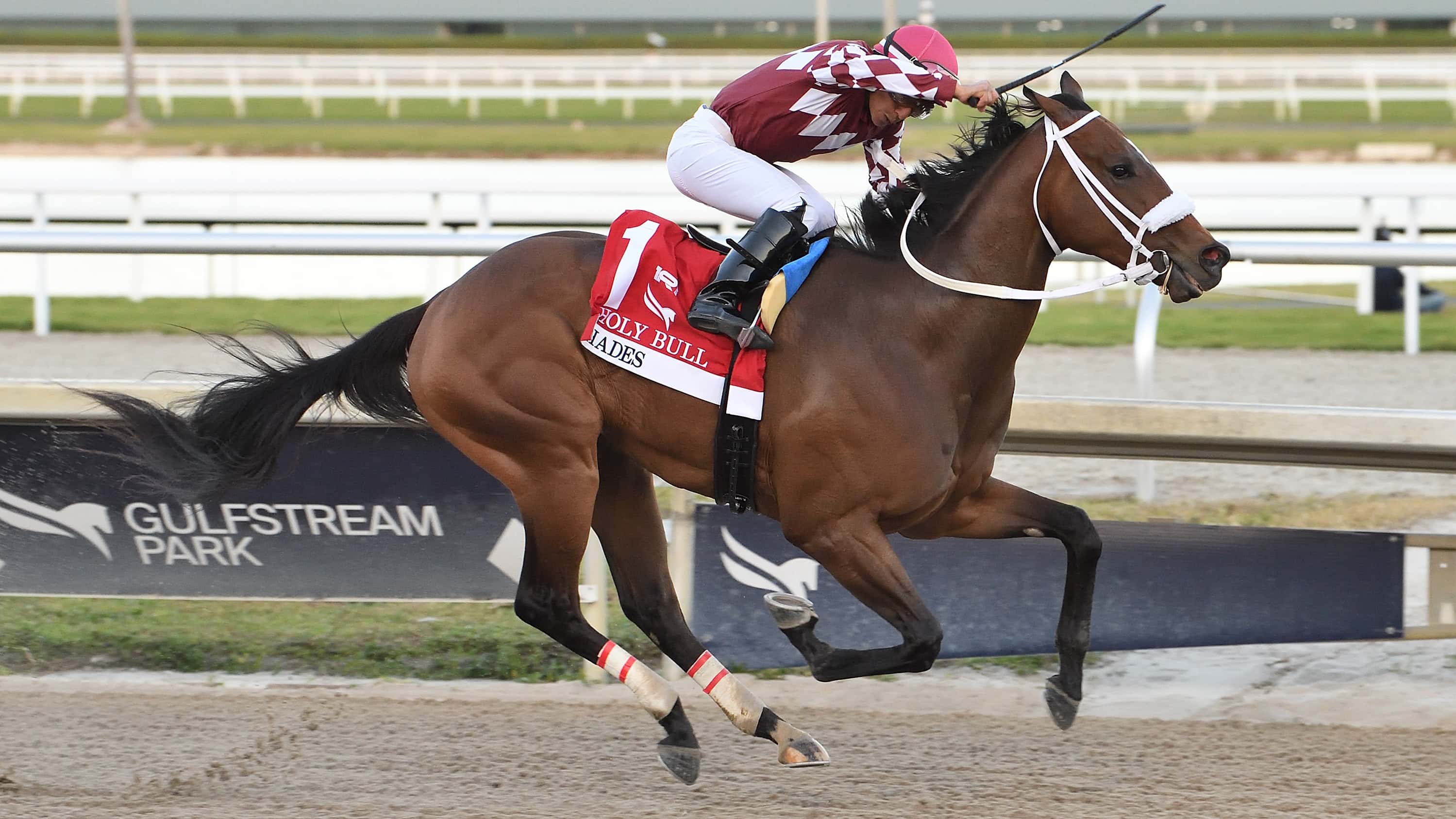 Hades-the-Holy-Bull-4