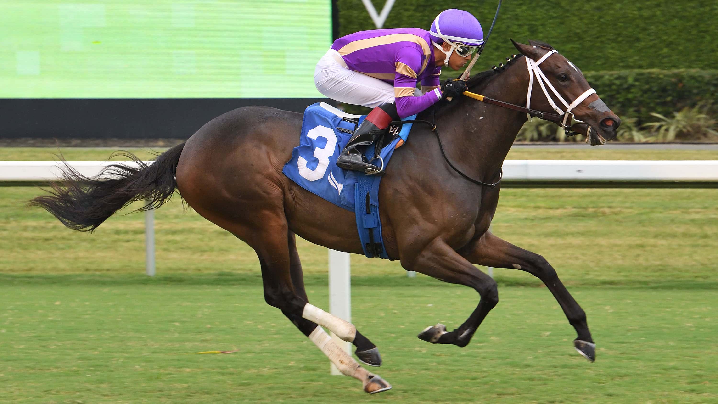 Spirit-Doll-the-Our-Dear-Peggy