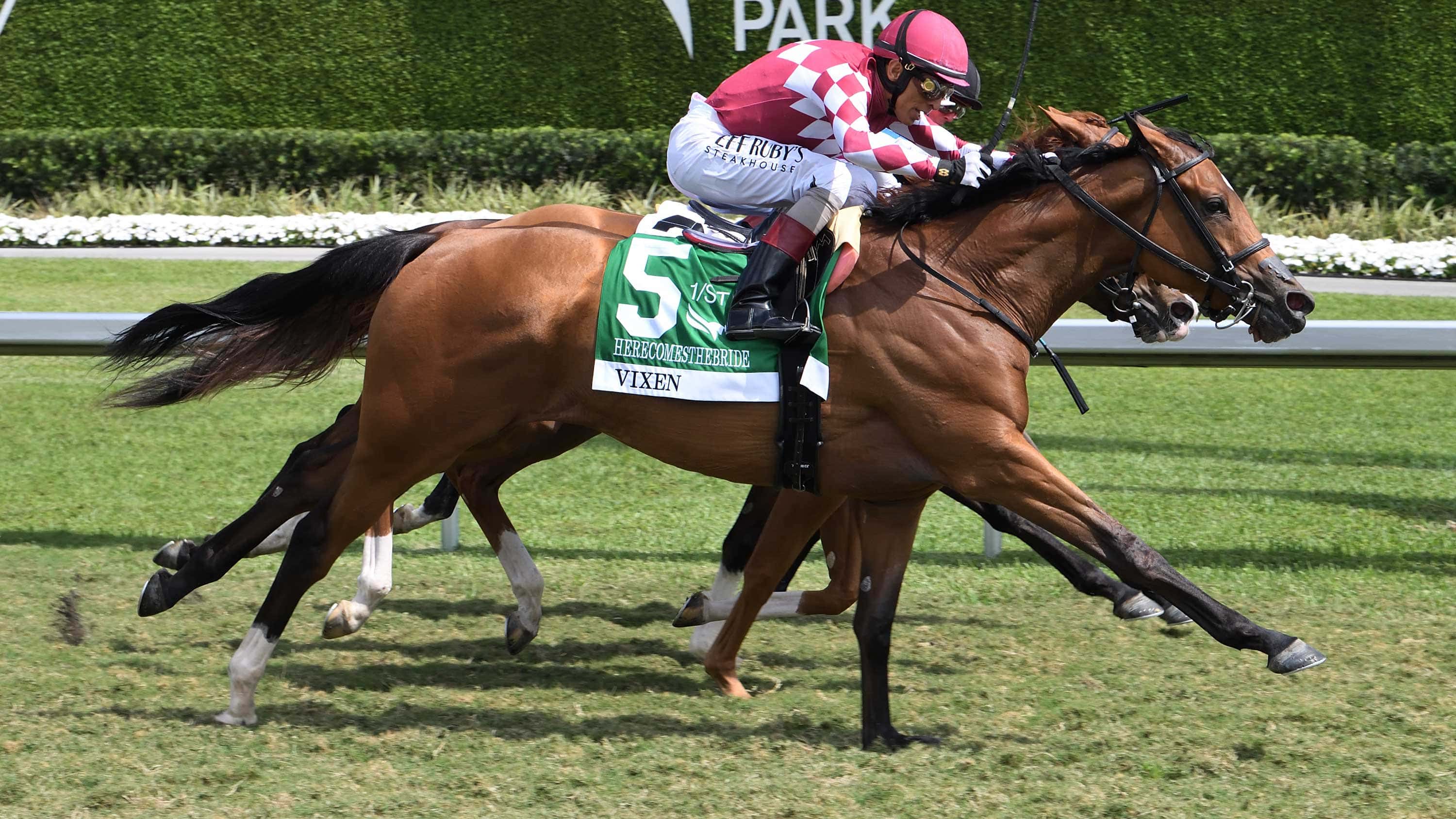 Vixen Holds on for Herecomesthebride (G3) Victory