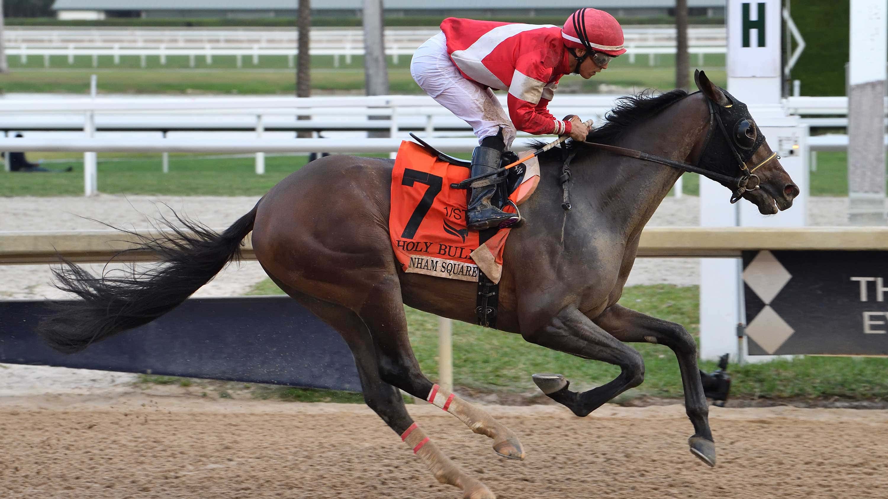 Burnham-Square-the-Holy-Bull-1