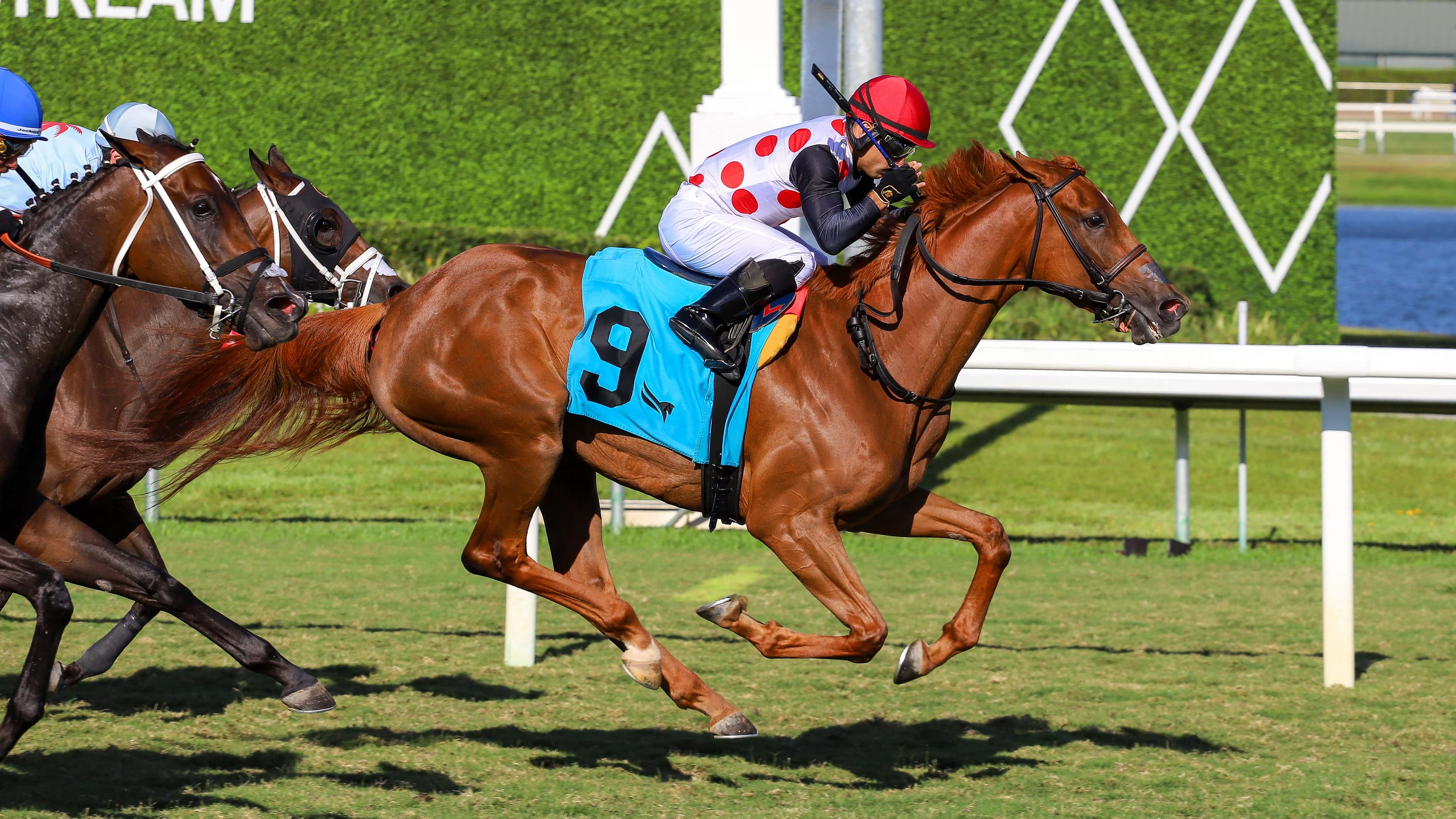 Souper Zonda implacable al final en The FHBPA Fillies and Mares Turf Stakes