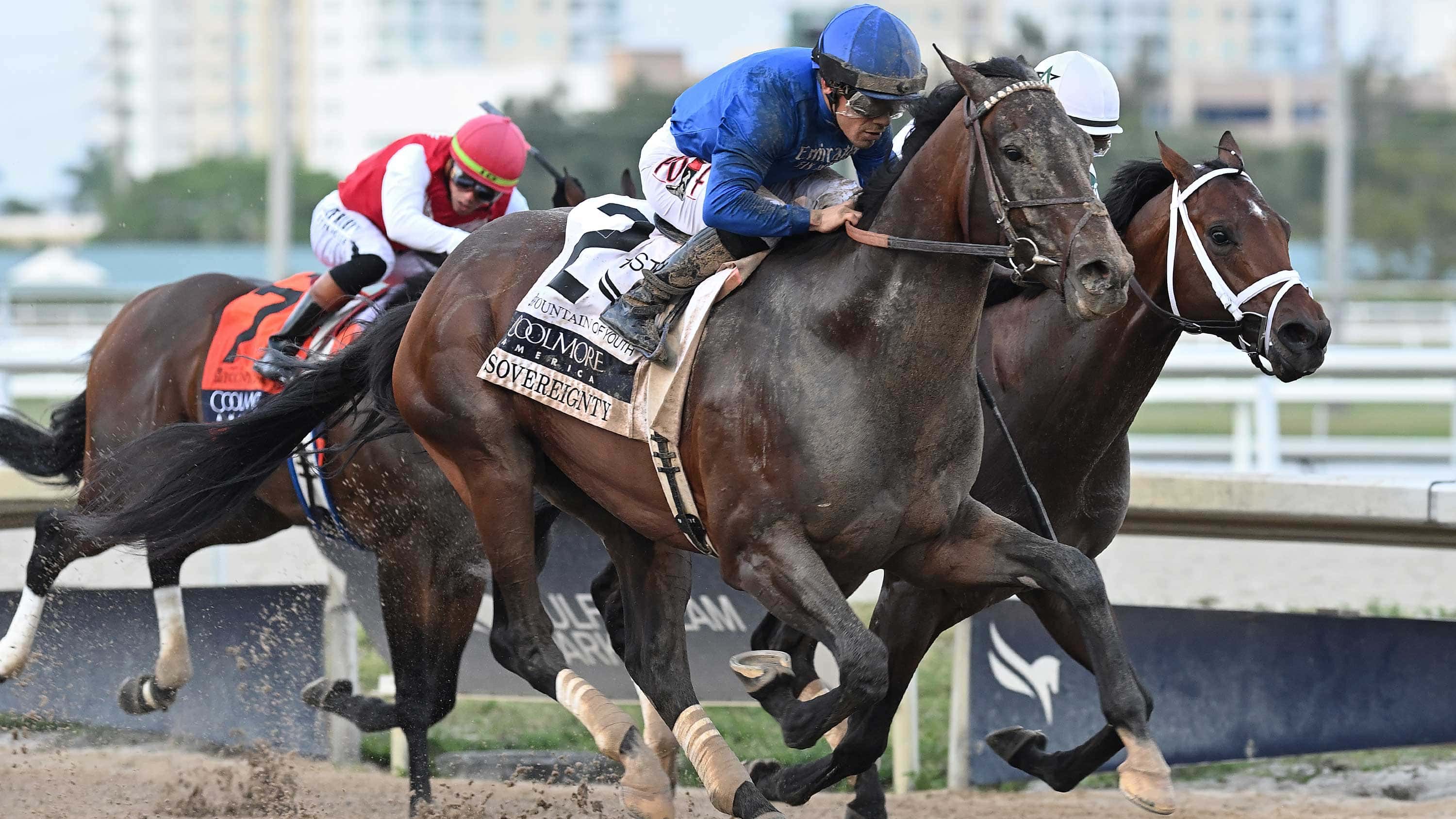 $415,000 COOLMORE FOUNTAIN OF YOUTH (G2) QUOTES