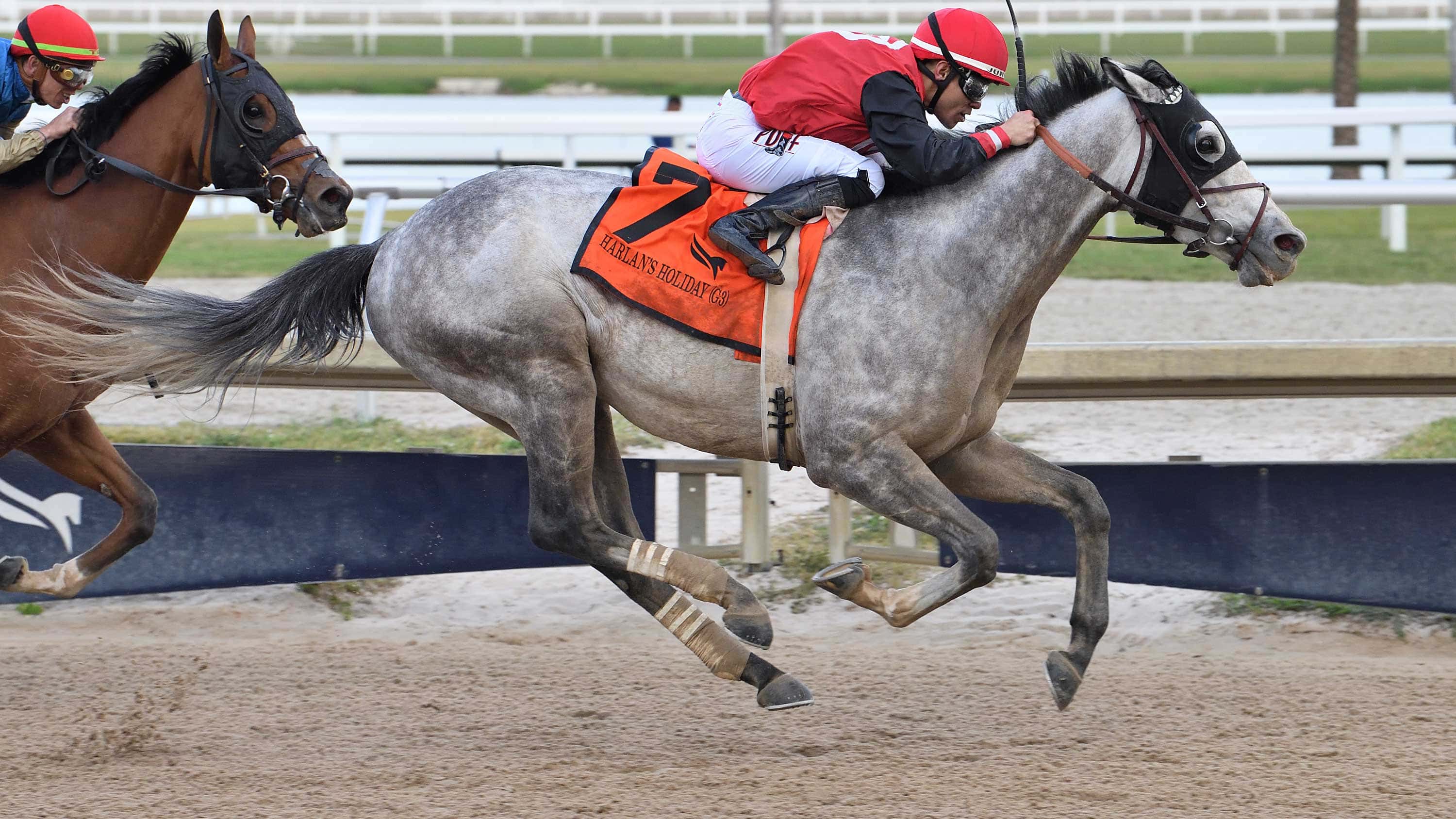 Rocket-Can-the-Harlans-Holiday