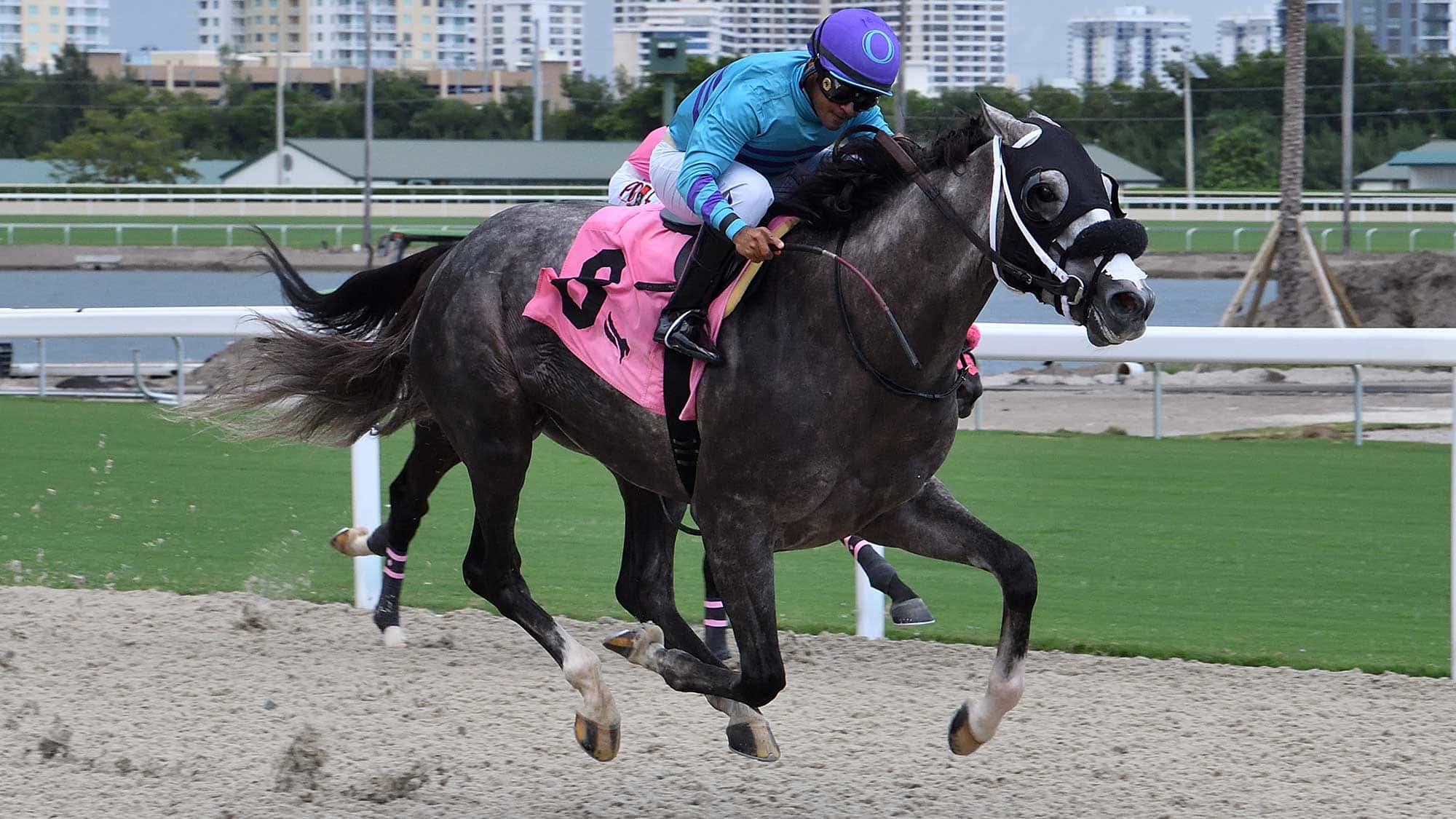 Amstrong-the-Bears-Den