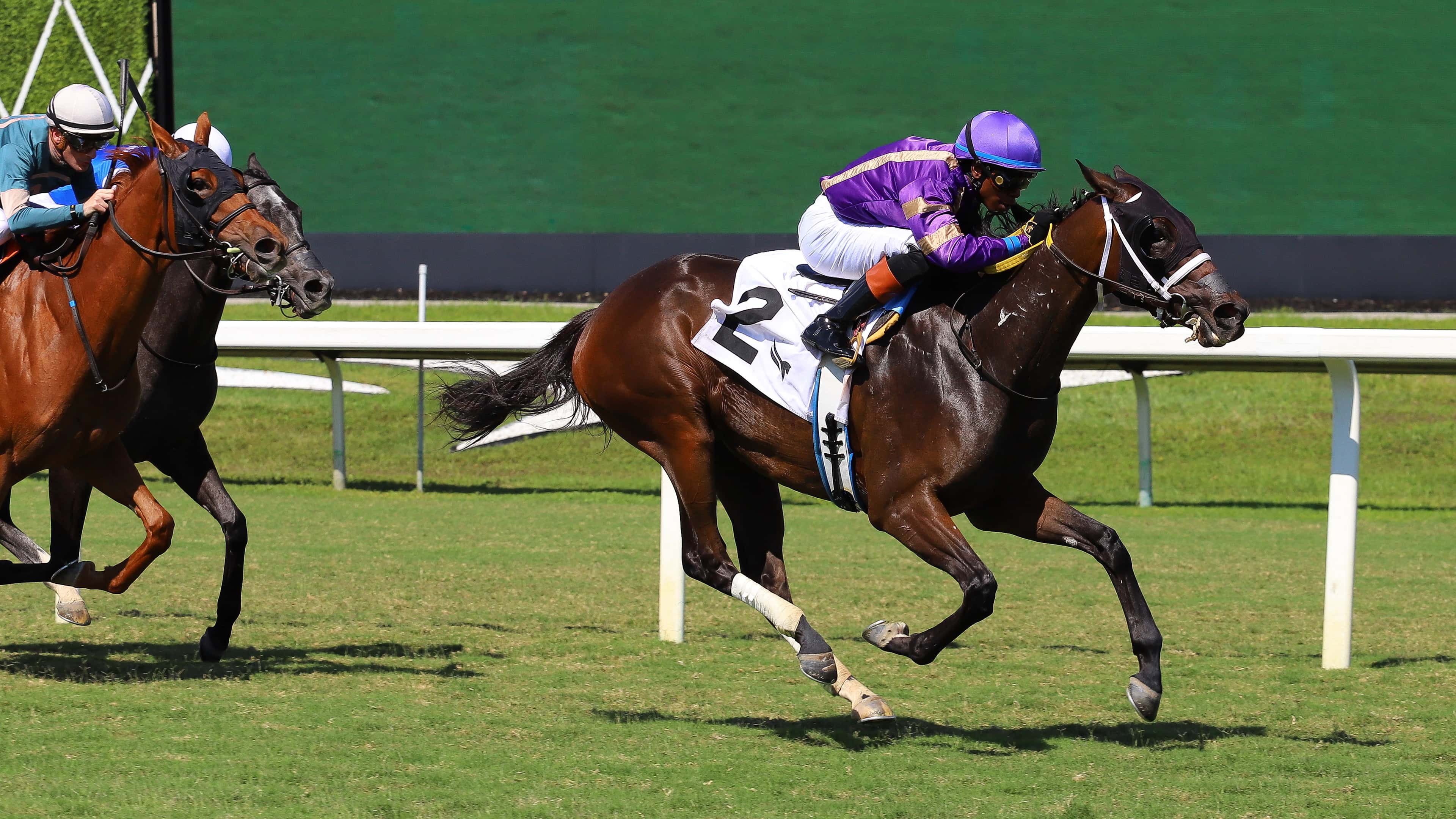 Spirit Doll estuvo imponente en The Honey Ryder Stakes