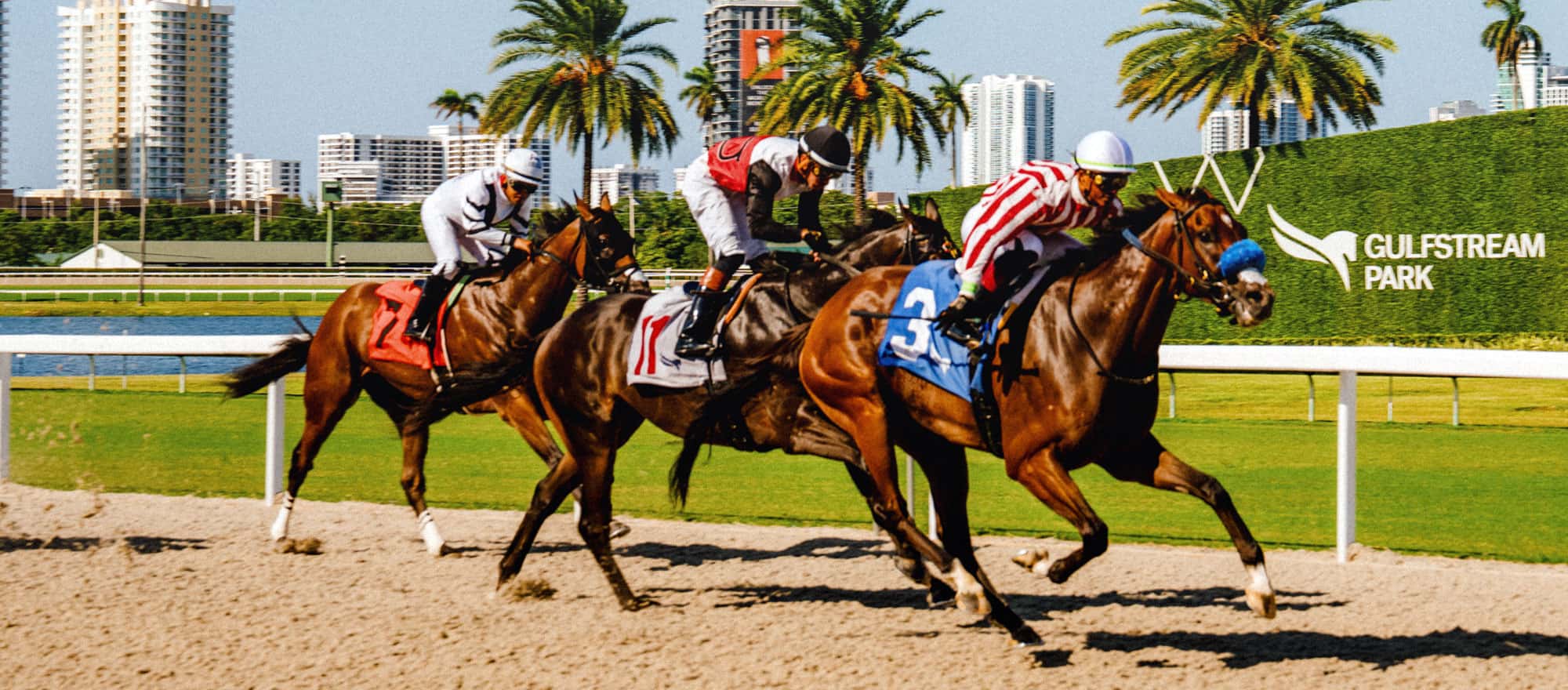 Thoroughbreds racing at Gulfstream Park