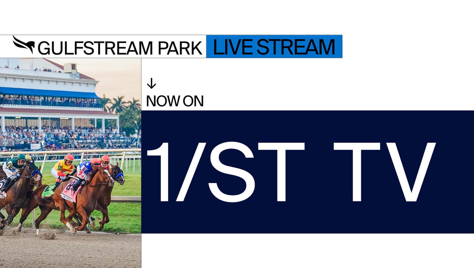 Thoroughbred Horse Racing & Casino in Hallandale, Florida | Gulfstream Park