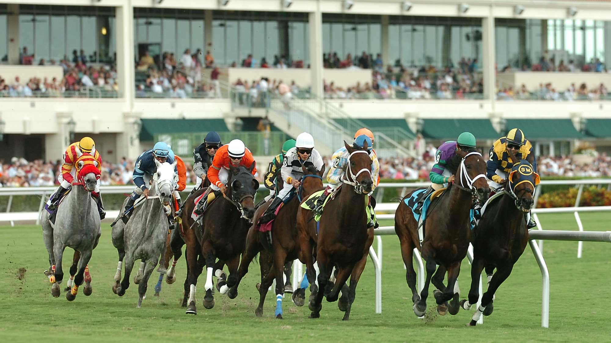 First-Race Post Time Moves to 12 Noon Starting Friday | Hallandale ...