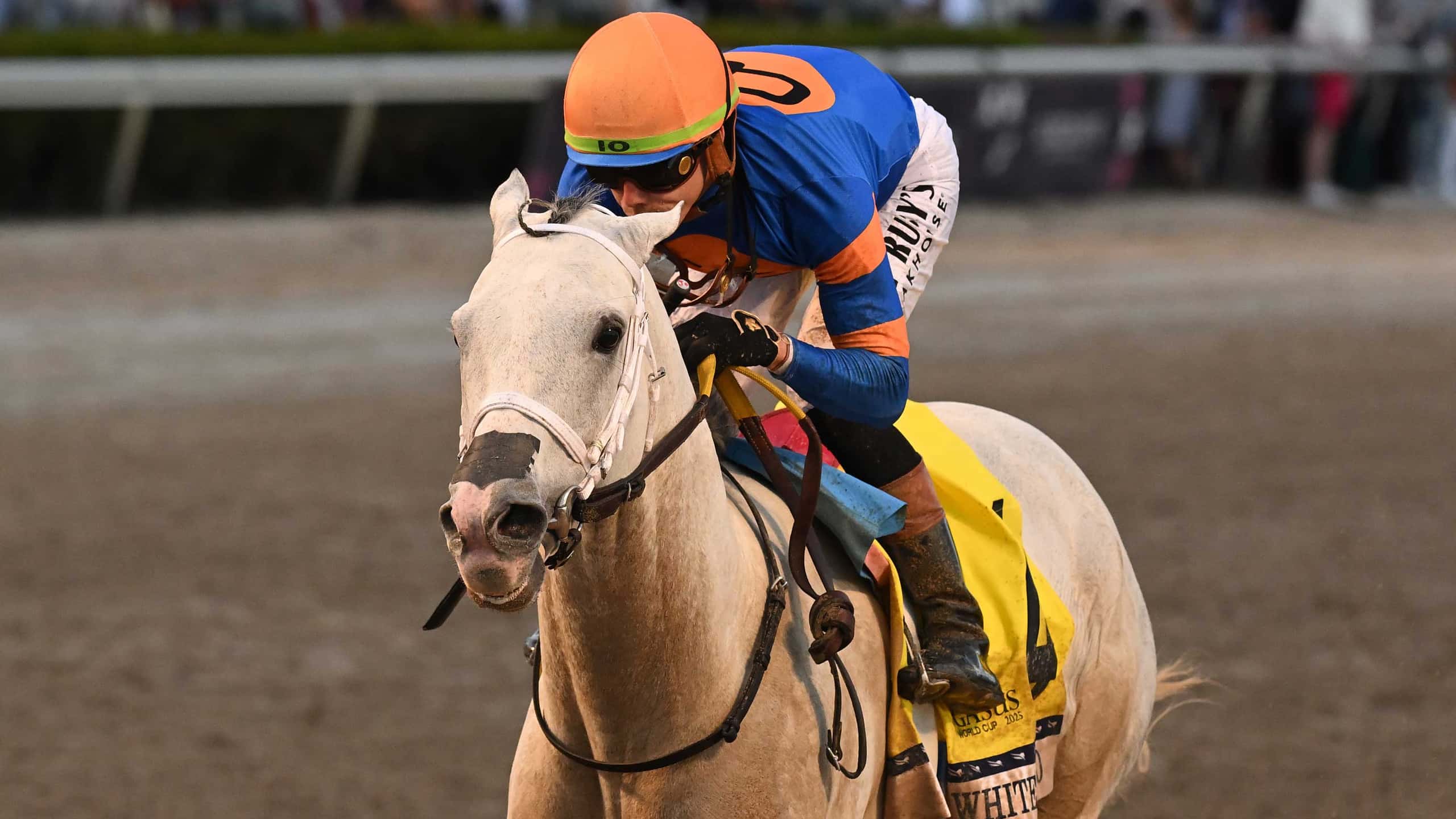 Horse Racing Entries Results And Stakes Schedules Gulfstream Park horse-racing-entries-results-and-stakes-schedules-gulfstream-park