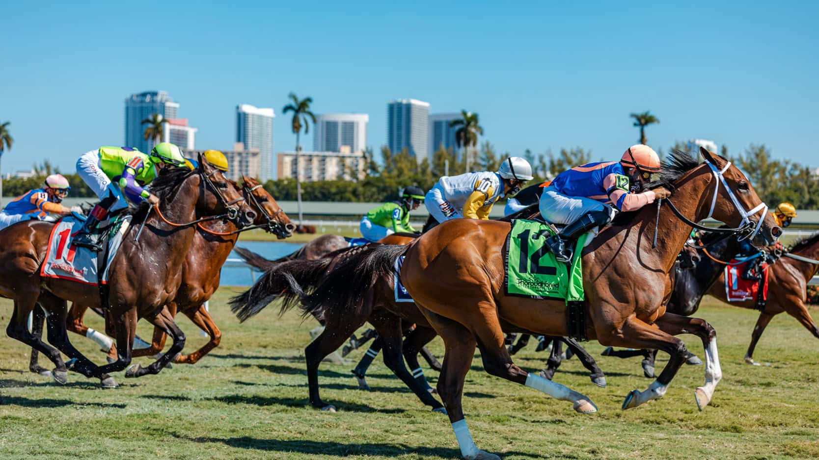 Tropical Turf Pick 3 Rainbow 6 Top Gulfstream s Championship Betting tropical-turf-pick-3-rainbow-6-top-gulfstream-s-championship-betting
